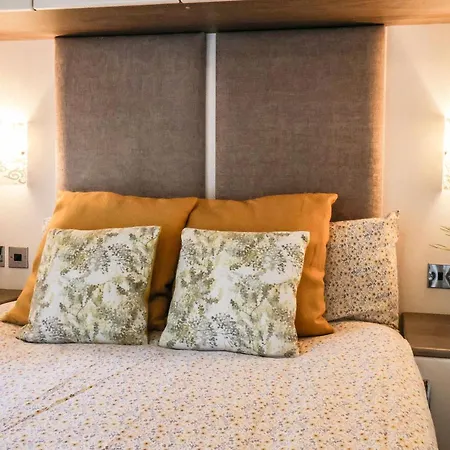 The Rodley Pines * 斯卡伯勒